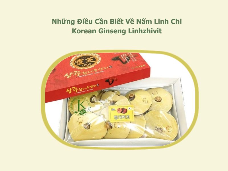 nấm linh chi Korean Ginseng Linhzhivit