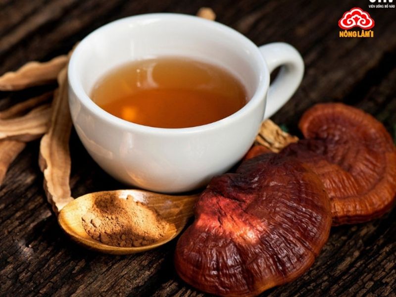 5 Cách Sử Dụng Nấm Linh Chi Đỏ Nguyên Tai Hiệu Quả Nhất 11 Nước nấm linh chi đỏ nguyên tai