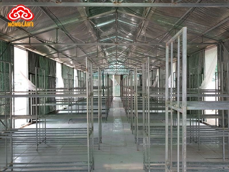 Tạo môi trường nuôi trồng phù hợp