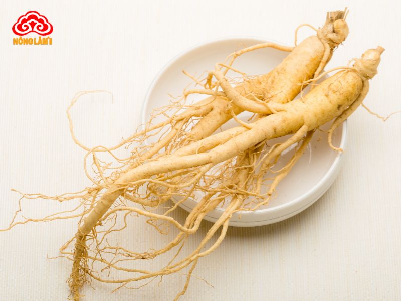 Top Những Thảo Dược Tốt Cho Hệ Tim Mạch 24 Nhân sâm