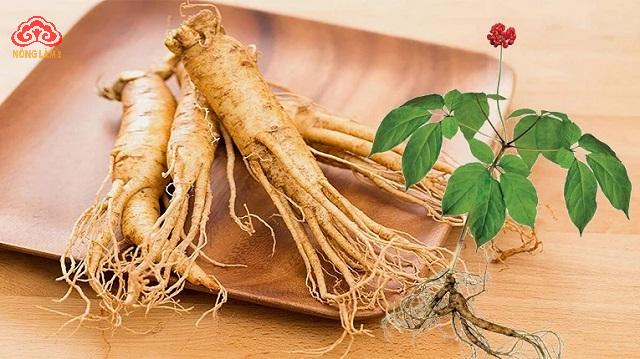Nấm Linh Chi Có Thể Sử Dụng Kết Hợp Với Những Loại Thảo Dược Nào? 15 Nhân sâm