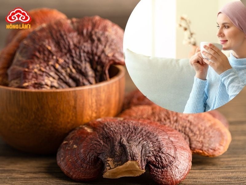 Sau Hóa Trị Ung Thư Có Nên Sử Dụng Nấm Linh Chi Không? 11 Cơ chế hỗ trợ phục hồi sau hóa trị với nấm linh chi