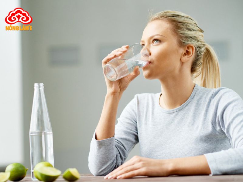 Các giai đoạn chuyển biến cơ thể khi sử dụng nấm linh chi