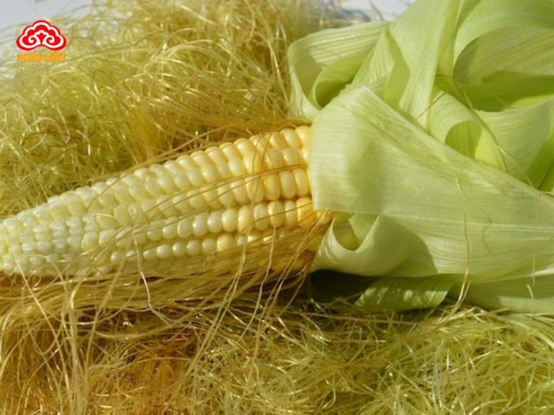 Bí Quyết Giải Độc Gan Bằng Thuốc Nam Hiệu Quả 29 Râu ngô