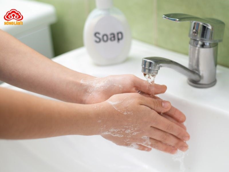 Tăng Cường Hệ Thống Miễn Dịch Mùa Dịch Cúm 14 Rửa tay bằng xà phòng và nước sạch