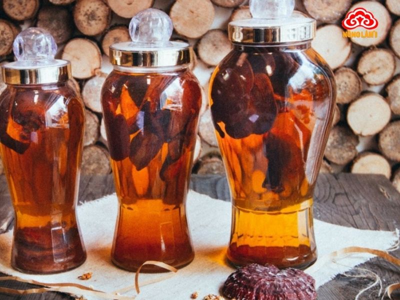 5 Cách Sử Dụng Nấm Linh Chi Đỏ Nguyên Tai Hiệu Quả Nhất 12 Ngâm rượu nấm linh chi đỏ nguyên tai
