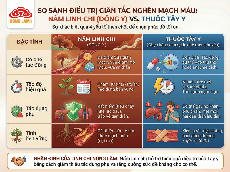 Dùng Nấm Linh Chi Để Làm Giãn Tắc Nghẽn Mạch Máu Trong Điều Trị Bệnh 8 So sánh nấm linh chi và tây y trong điều trị tắc nghẽn mạch máu