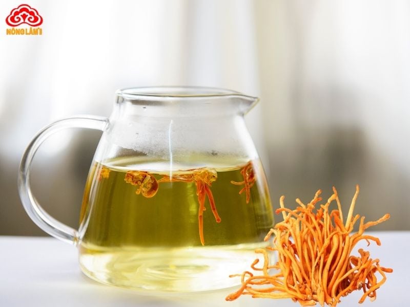 Tác Dụng Của Đông Trùng Hạ Thảo Với Bệnh Tiểu Đường 9 Trà đông trùng hạ thảo phù hợp cho bệnh nhân tiểu đường