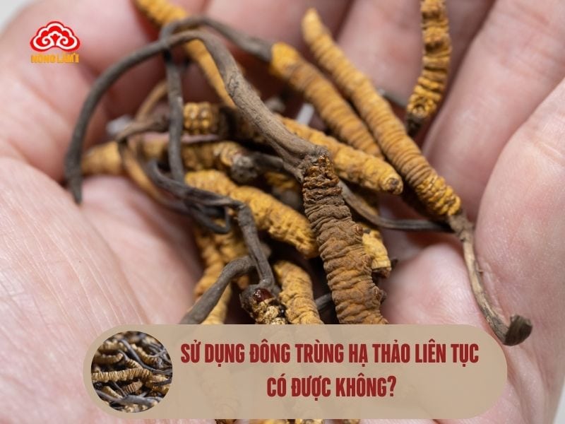Sử Dụng Đông Trùng Hạ Thảo Liên Tục Có Được Không? 5 Sử dụng đông trùng hạ thảo liên tục có tốt không?