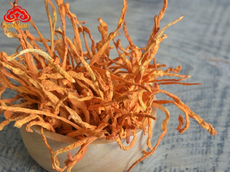 Lạm Dụng Đông Trùng Hạ Thảo Có Thể Gây Suy Thận? 10 Sử dụng đông trùng hạ thảo đúng cách tránh suy thận