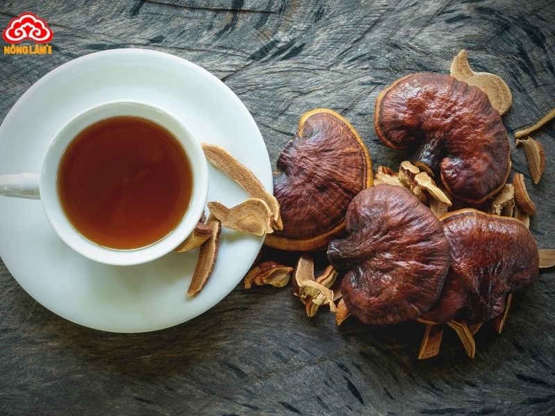 Tác Dụng Của Nấm Linh Chi Với Bệnh Ung Thư Vú 9 Sử dụng nấm linh chi hiệu quả với bệnh nhân ung thư vú