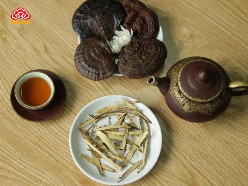 Sử dụng nấm lim xanh cho bệnh nhân ung thư phổi