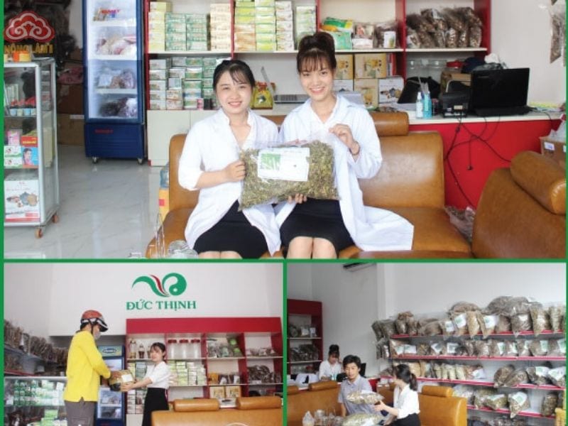 Top 10 Địa Chỉ Bán Đại Táo Chất Lượng Ở Hcm 17 Thảo dược đức thịnh