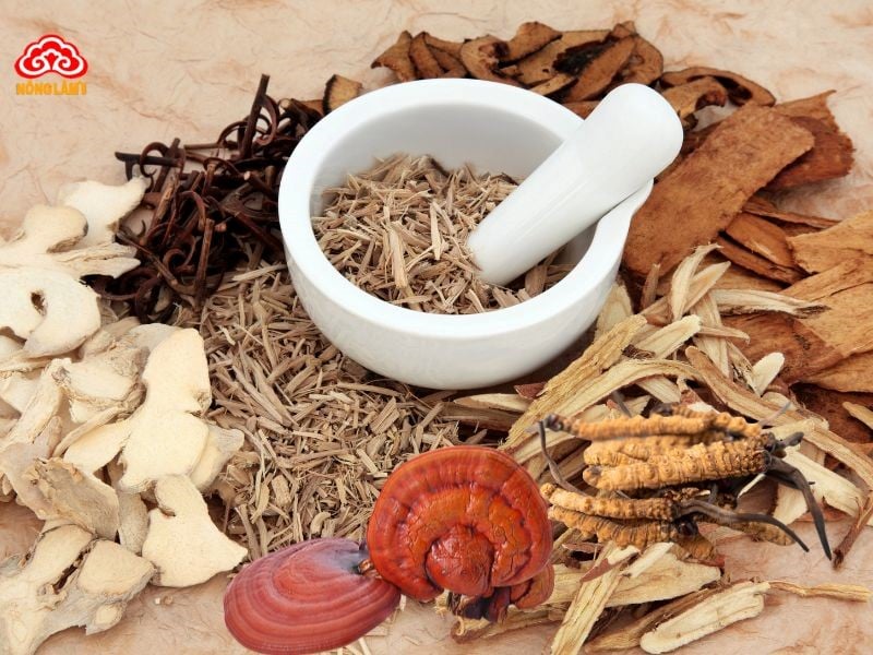 Tăng Cường Hệ Thống Miễn Dịch Mùa Dịch Cúm 15 Thảo dược tăng cường hệ miễn dịch mùa cúm