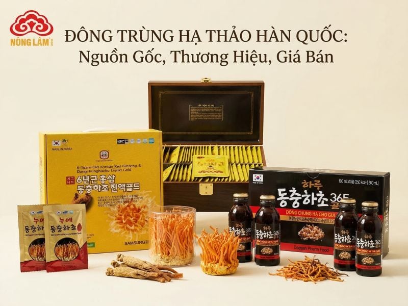 Đông Trùng Hạ Thảo Hàn Quốc: Nguồn Gốc, Thương Hiệu, Giá Bán 6 Tìm hiểu về đông trùng hạ thảo hàn quốc