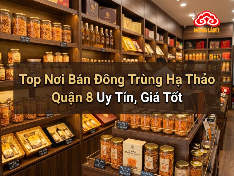 Top địa chỉ bán đông trùng hạ thảo tại quận 8 uy tín giá tốt