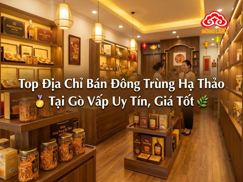 Top địa chỉ bán đông trùng hạ thảo tại gò vấp