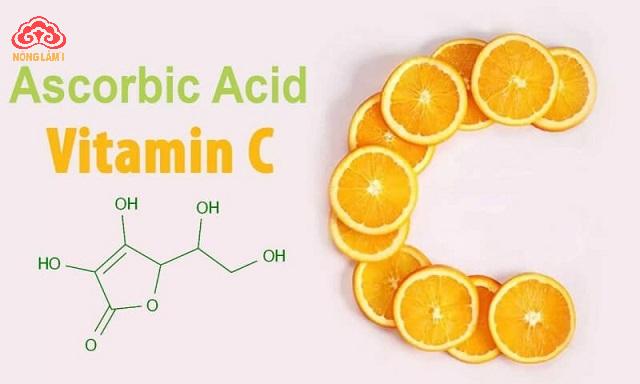 Nấm Linh Chi Có Thể Sử Dụng Kết Hợp Với Những Loại Thảo Dược Nào? 19 Vitamin C