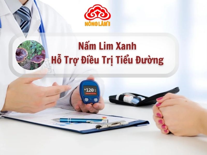 Nấm Lim Xanh Hỗ Trợ Trị Bệnh Tiểu Đường Hiệu Quả 6 Nấm lim xanh hỗ trợ điều trị bệnh tiểu đường hiệu quả