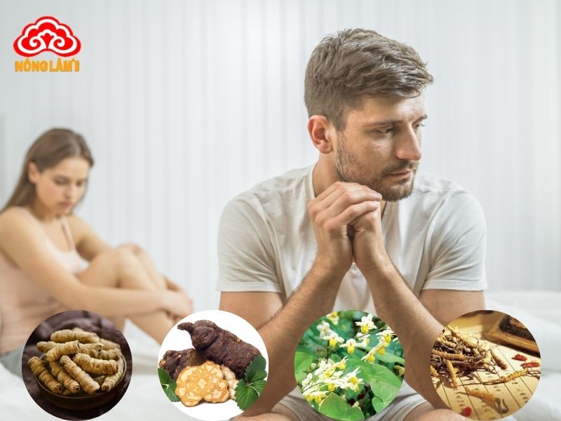 Những Bài Thuốc Quý Từ Đông Trùng Hạ Thảo 13 Bài thuốc quý từ đông trùng hạ thảo chữa sinh lý nam giới