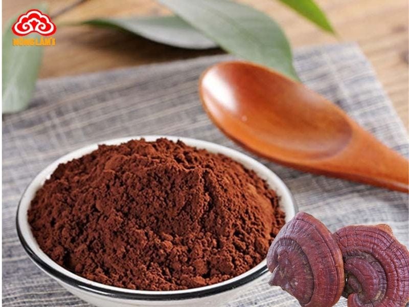 Nấm Linh Chi Bảo Quản Như Thế Nào Đúng Cách? 10 Cách bảo quản bột nấm linh chi