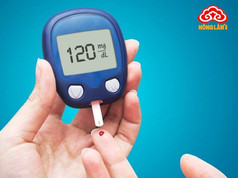 Nấm Lim Xanh Hỗ Trợ Trị Bệnh Tiểu Đường Hiệu Quả 10 Bệnh tiểu đường