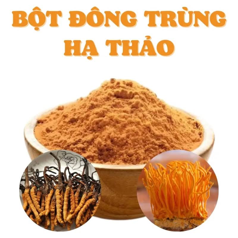 Đông trùng hạ thảo dạng bột