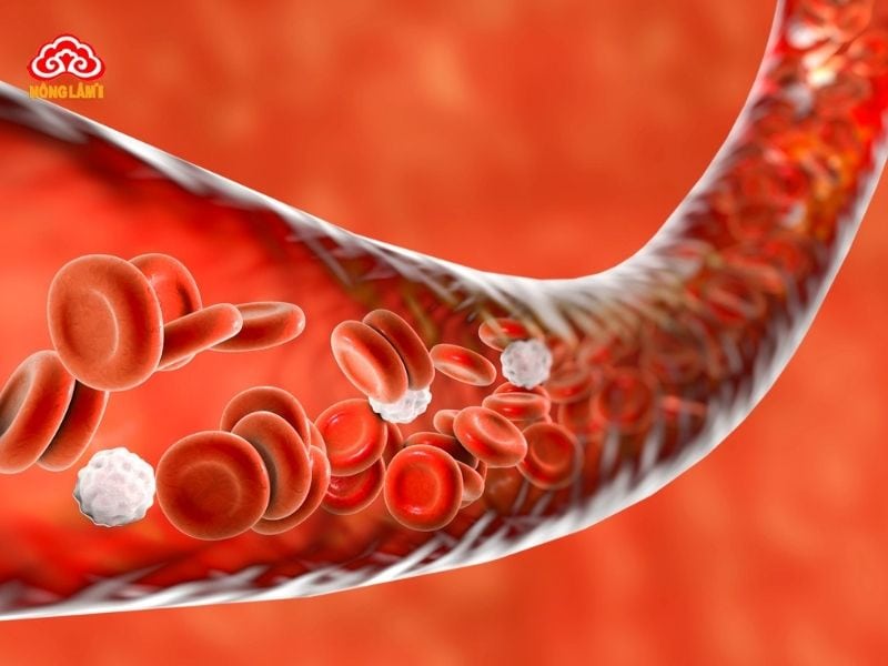 Các vấn đề thường gặp của hệ tuần hoàn