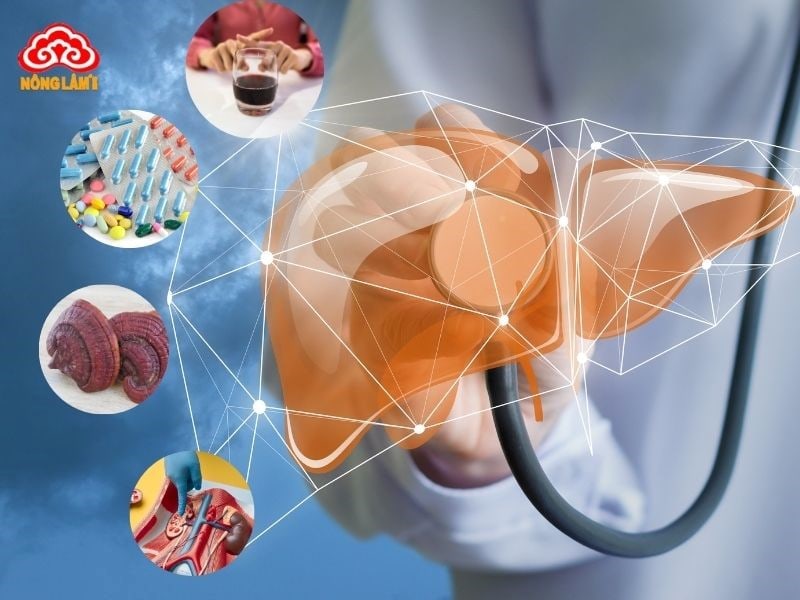 Xơ Gan: Nguyên Nhân, Triệu Chứng, Chẩn Đoán Và Điều Trị 12 Điều trị bệnh xơ gan