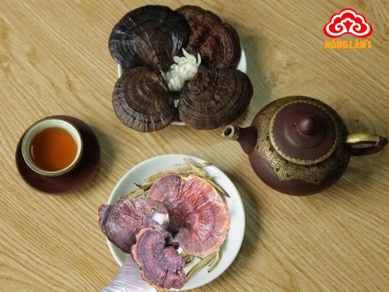 Nấm Lim Xanh Hỗ Trợ Trị Bệnh Tiểu Đường Hiệu Quả 9 Sử dụng nấm lim xanh cho người tiểu đường