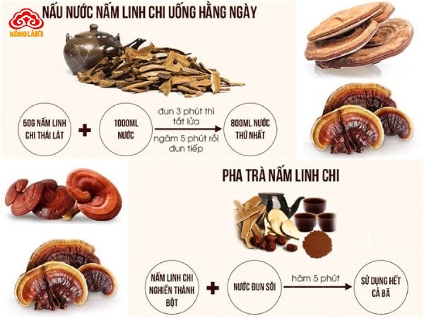 Cách sử dụng nấm linh chi hiệu quả