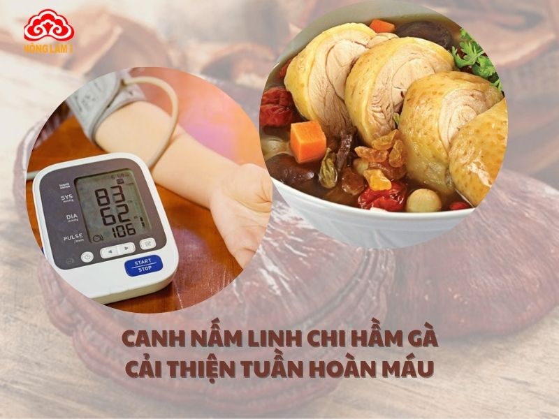 Canh nấm linh chi không chỉ bổ dưỡng mà còn giúp cải thiện tuần hoàn máu