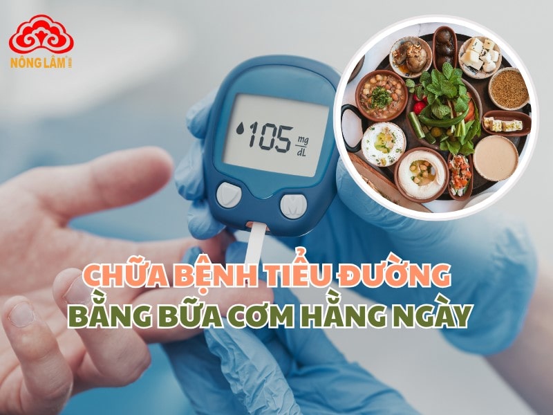 Chữa Bệnh Tiểu Đường Bằng Bữa Cơm Hằng Ngày 5 Chữa bệnh tiểu đường qua bữa ăn hằng ngày