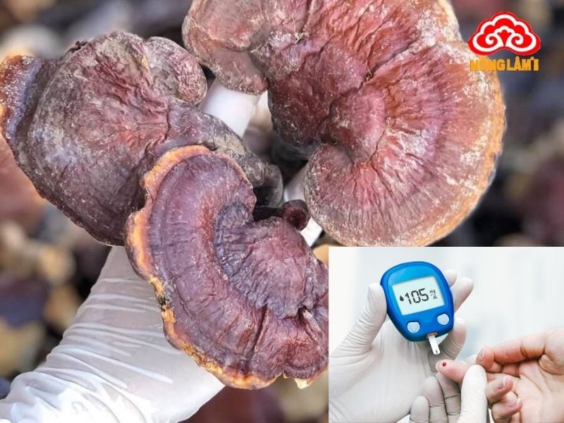 Nấm Lim Xanh Hỗ Trợ Trị Bệnh Tiểu Đường Hiệu Quả 8 Nấm lim xanh mang đến giải pháp hỗ trợ toàn diện cho người bệnh tiểu đường
