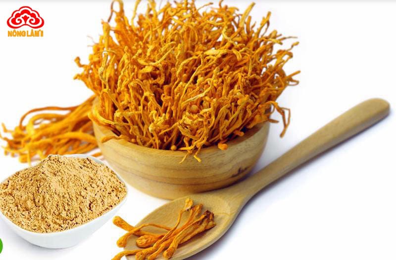 Công dụng bột đông trùng hạ thảo