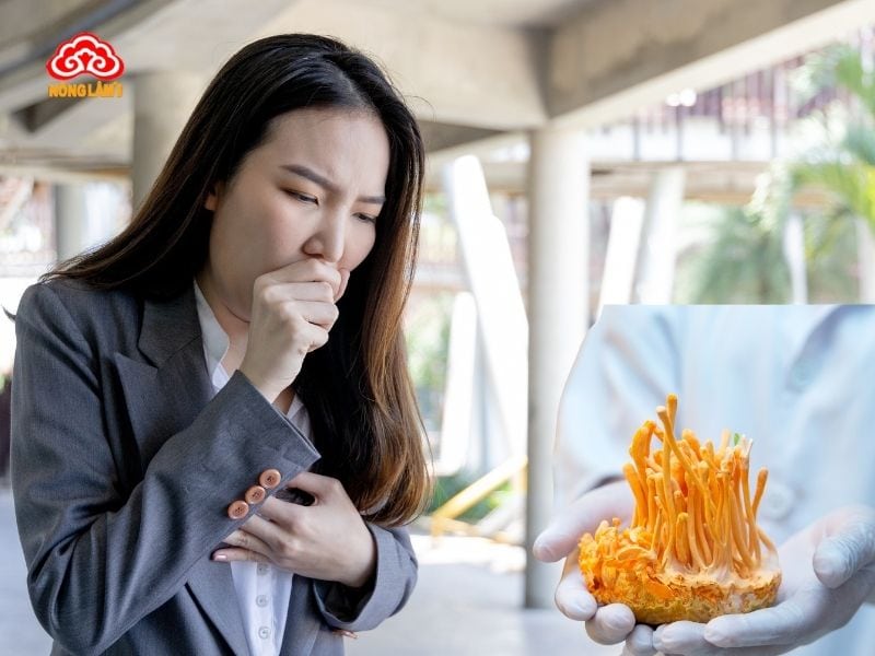 Tác Dụng Đông Trùng Hạ Thảo Với Bệnh Hen Suyễn Mãn Tính 10 Cơ chế tác động của đông trùng hạ thảo lên bệnh hen suyễn