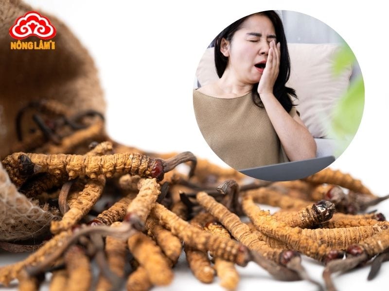 Đông Trùng Hạ Thảo Chống Mệt Mỏi, Suy Nhược Hiệu Quả 9 Đông trùng hạ thảo giúp chống mệt mỏi, suy nhược cơ thể hiệu quả
