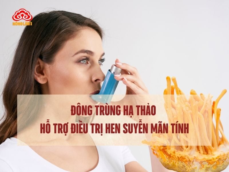 Tác Dụng Đông Trùng Hạ Thảo Với Bệnh Hen Suyễn Mãn Tính 7 Đông trùng hạ thảo hỗ trợ điều trị bệnh hen suyễn mãn tính hiệu quả