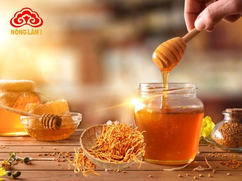 Đông trùng hạ thảo ngâm mật ong chống lão hóa