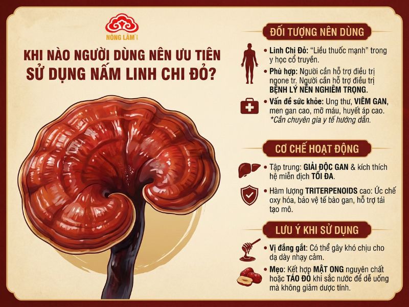 Nấm Linh Chi Vàng Hay Đỏ Tốt Hơn? Nên Chọn Loại Nào Phù Hợp? 11 Khi nào người dùng nên ưu tiên sử dụng nấm linh chi đỏ?