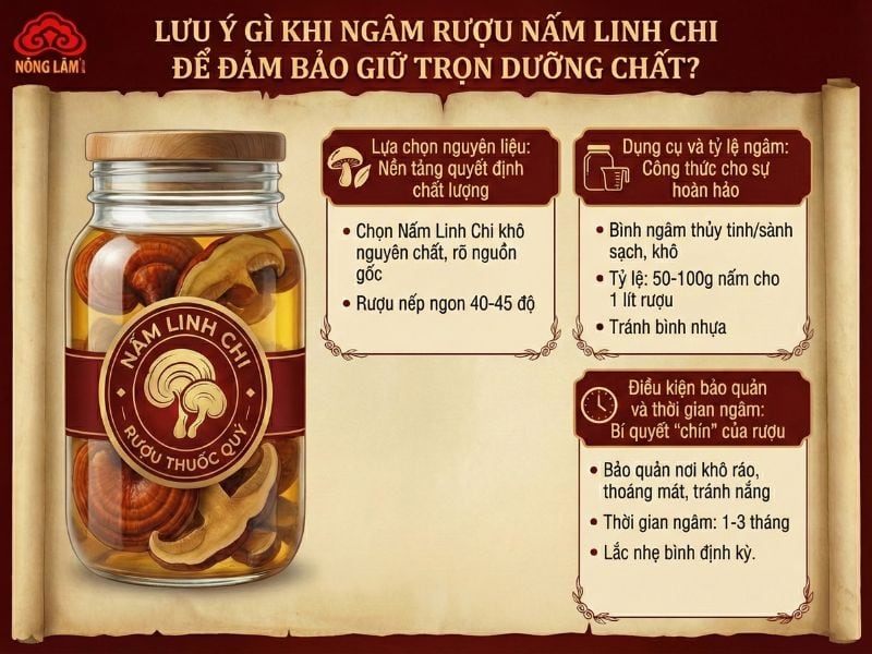 Rượu Rấm Linh Chi: Công Dụng Và Hướng Dẫn Ngâm Rượu Đúng Cách 13 Lưu ý quan trọng khi ngâm rượu nấm linh chi