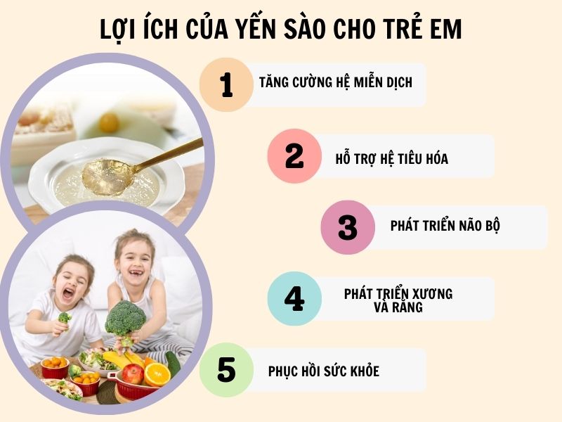 Lợi ích của yến sào với trẻ em