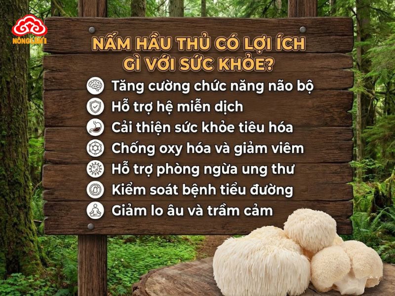 Nấm Hầu Thủ: Giá Trị Dinh Dưỡng, Công Dụng &Amp; Cách Dùng 10 Lợi ích của nấm hầu thủ với sức khỏe