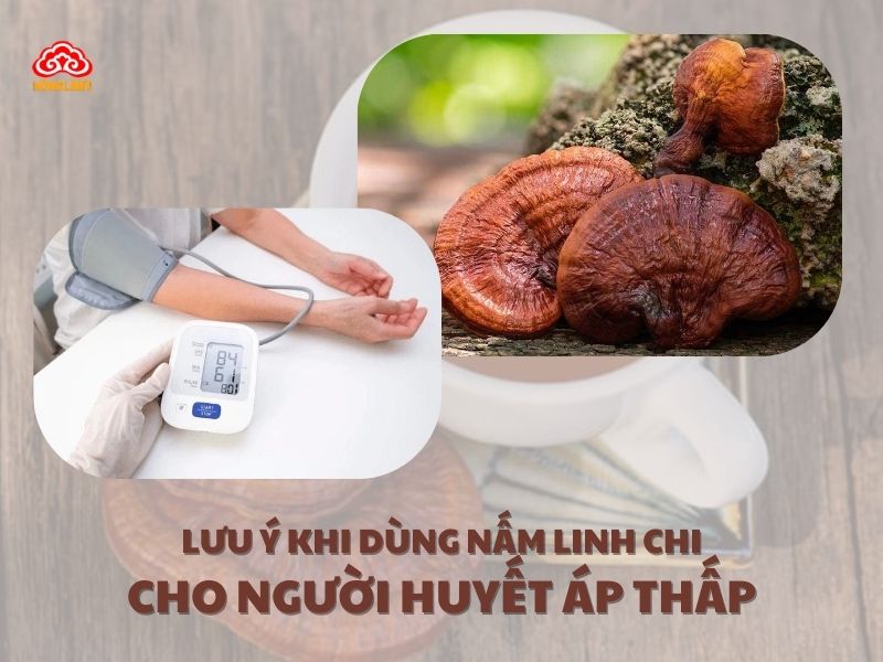 Lưu ý khi dùng nấm linh chi cho người huyết áp thấp