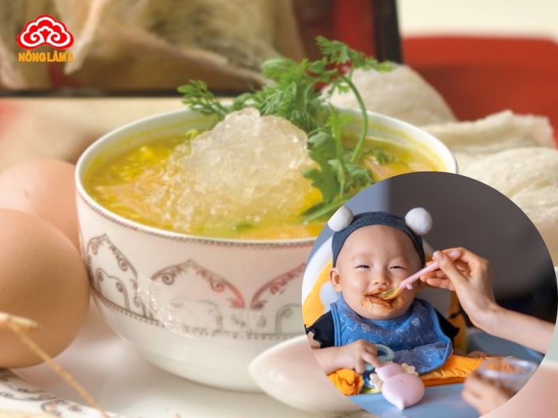 Thời điểm lý tưởng để bắt đầu cho trẻ ăn yến sào là khi trẻ được trên 1 tuổi