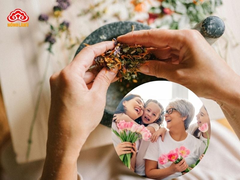 Top 7 Thảo Dược Tự Nhiên Tốt Cho Phụ Nữ Tiền Mãn Kinh 20 Lưu ý khi sử dụng thảo dược cho phụ nữ tiền mãn kinh