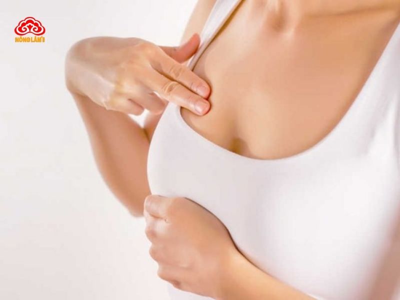 Top 3 Bài Thuốc Nấm Linh Chi Giúp Sữa Mẹ Về Nhanh 10 Massage nhẹ nhàng thông tắc tuyến vú