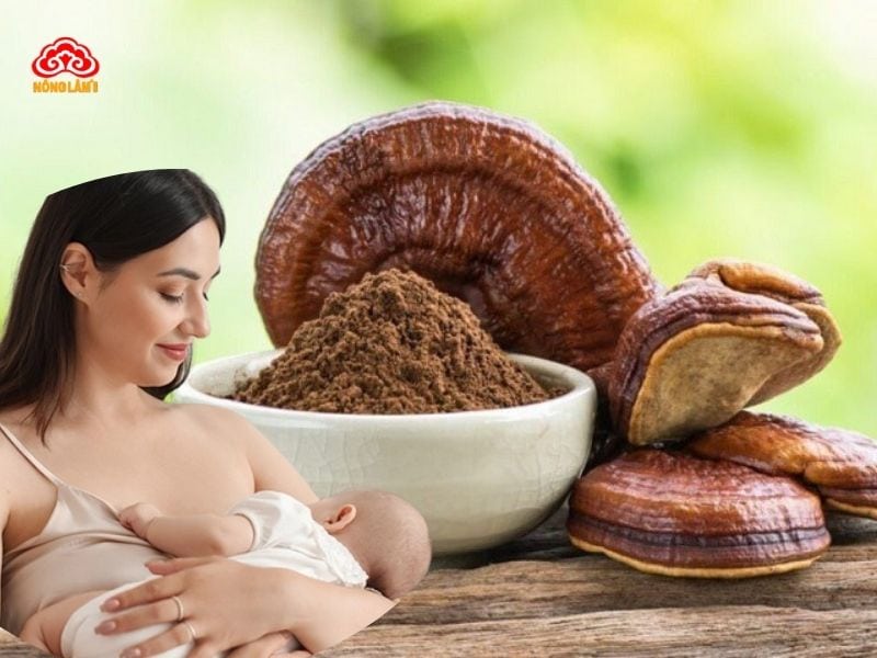 Top 3 Bài Thuốc Nấm Linh Chi Giúp Sữa Mẹ Về Nhanh 8 Nấm linh chi cải thiện tình trạng mất sữa, tắc sữa hiệu quả