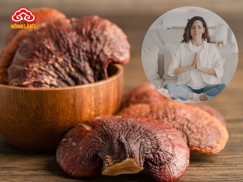 Nấm linh chi mang lại nhiều lợi ích cho hệ thần kinh