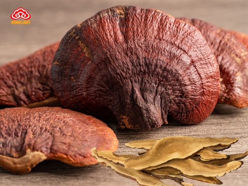 Cơ chế trị nám của nấm linh chi